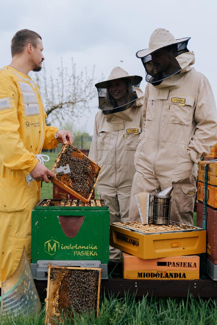 Pasieka Miodolandia