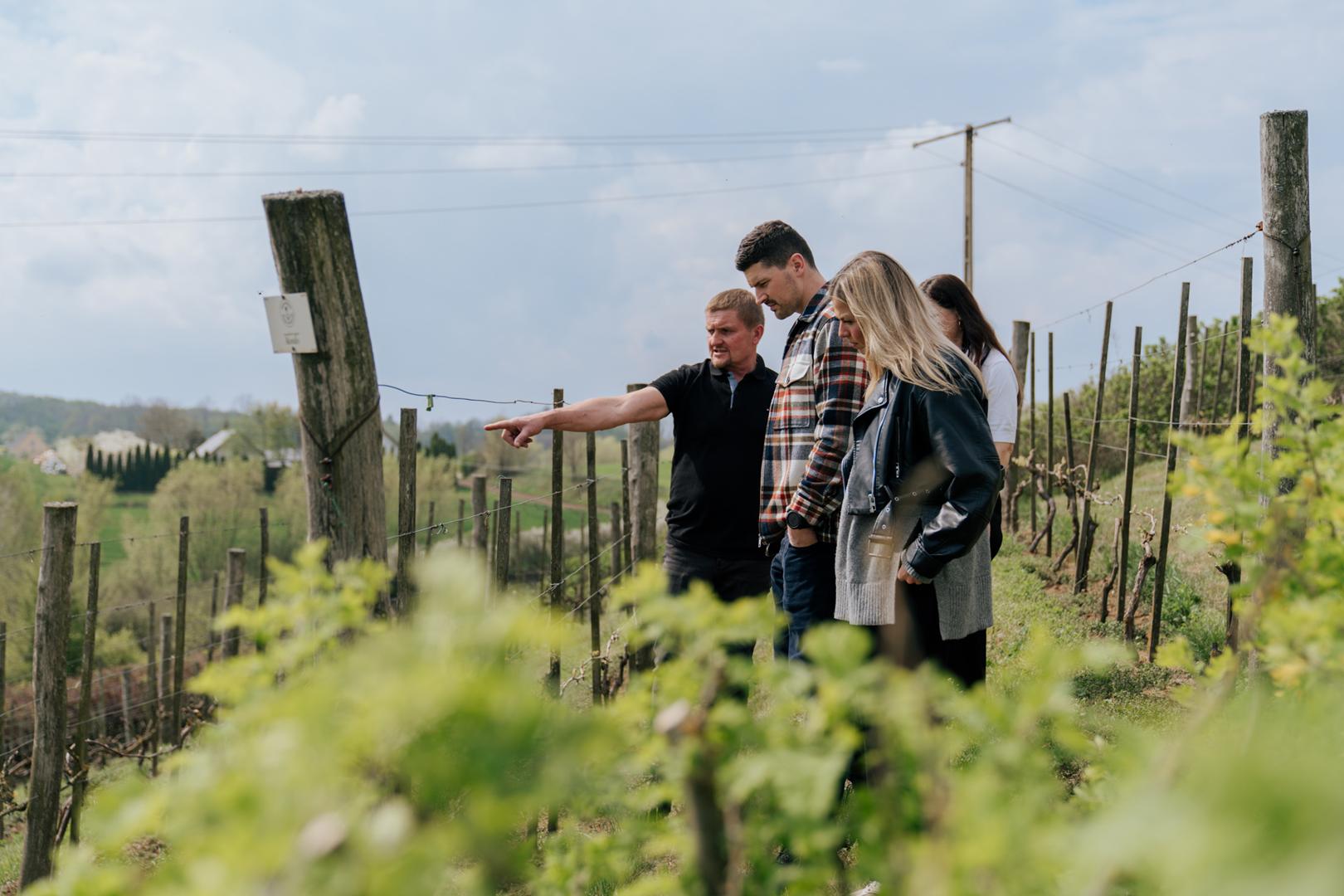 Winnica Quercia Rossa w Piaseckim Polu
