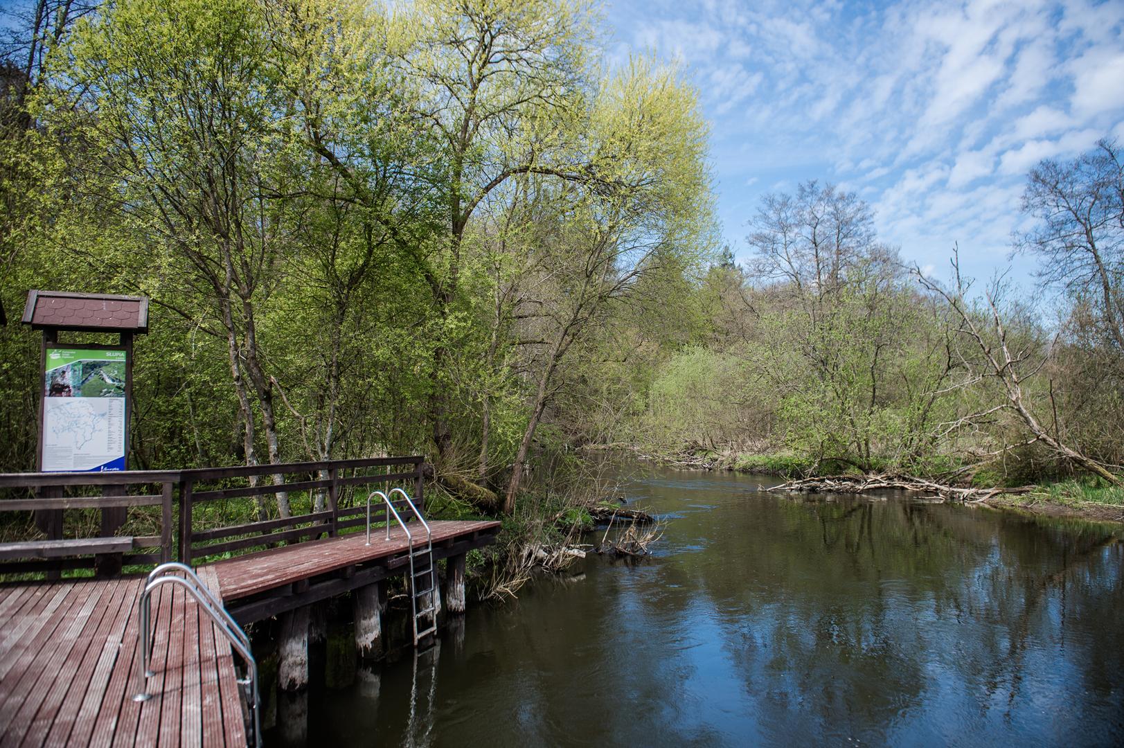 Spływ kajakowy Słupia