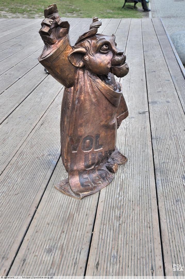 Hewelion Wolontariusz Hewelion Wolontariusz